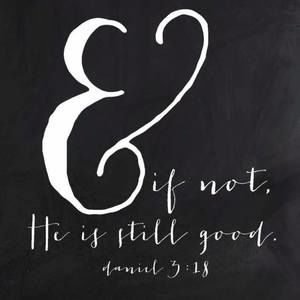 Meet your Posher, Danette